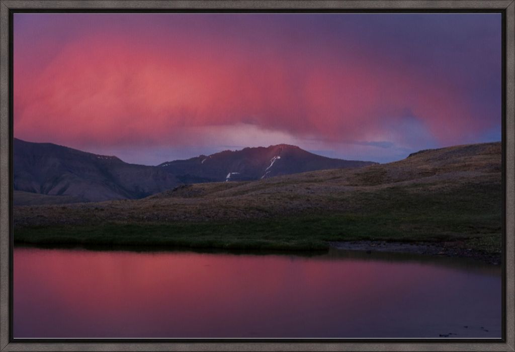 After the Hail Storm IV