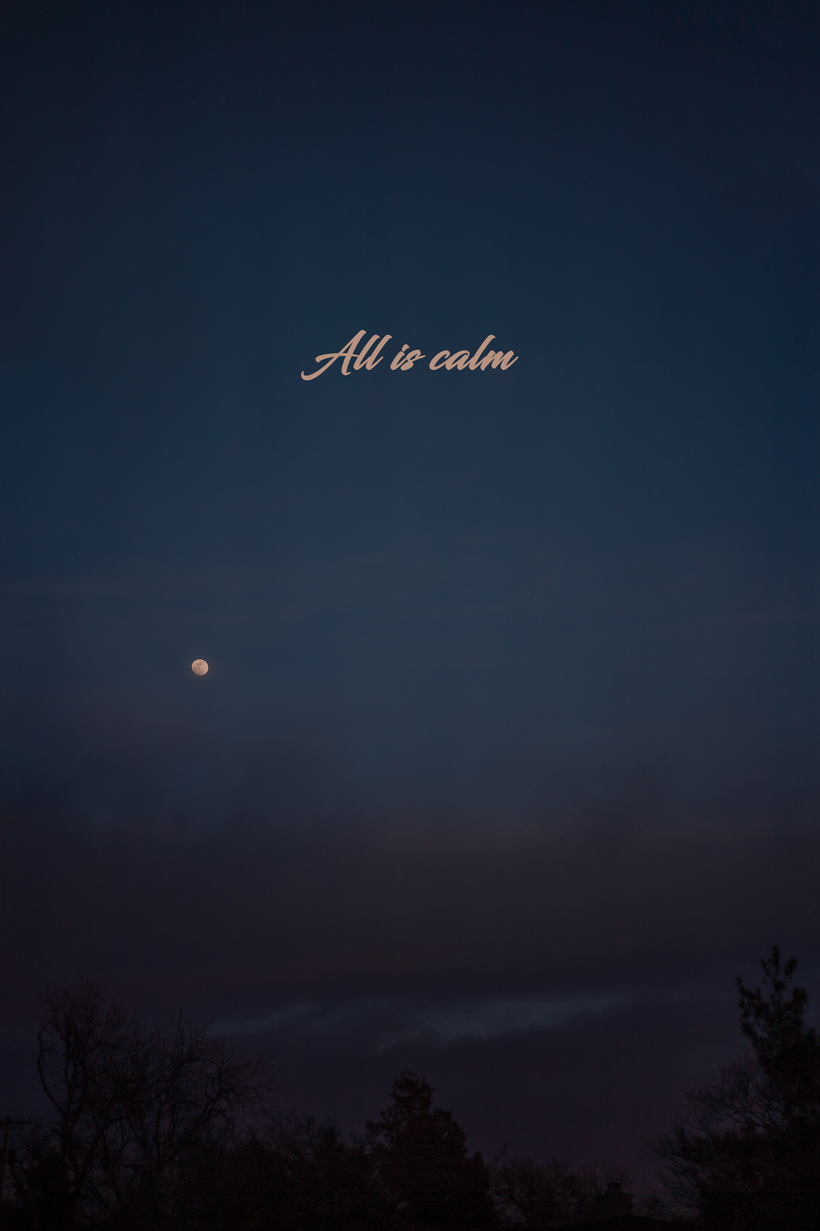 'Soft Moonlight' Holiday Greeting Cards (Set of 25)