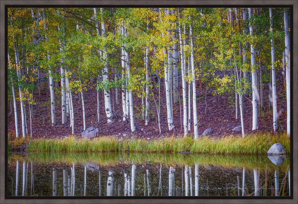 Fall Reflections