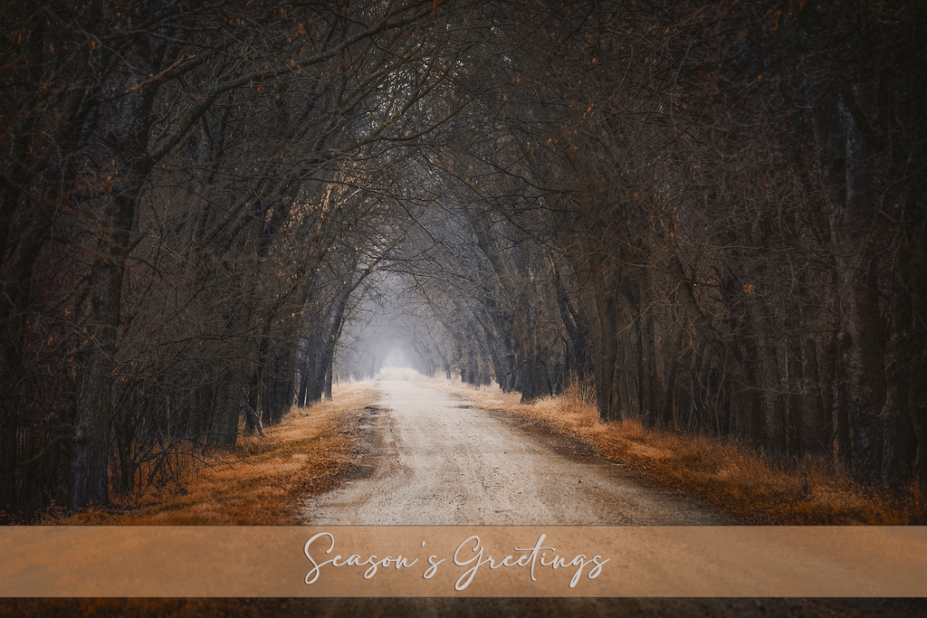 'The Road Home' Holiday Greeting Cards (Set of 25)