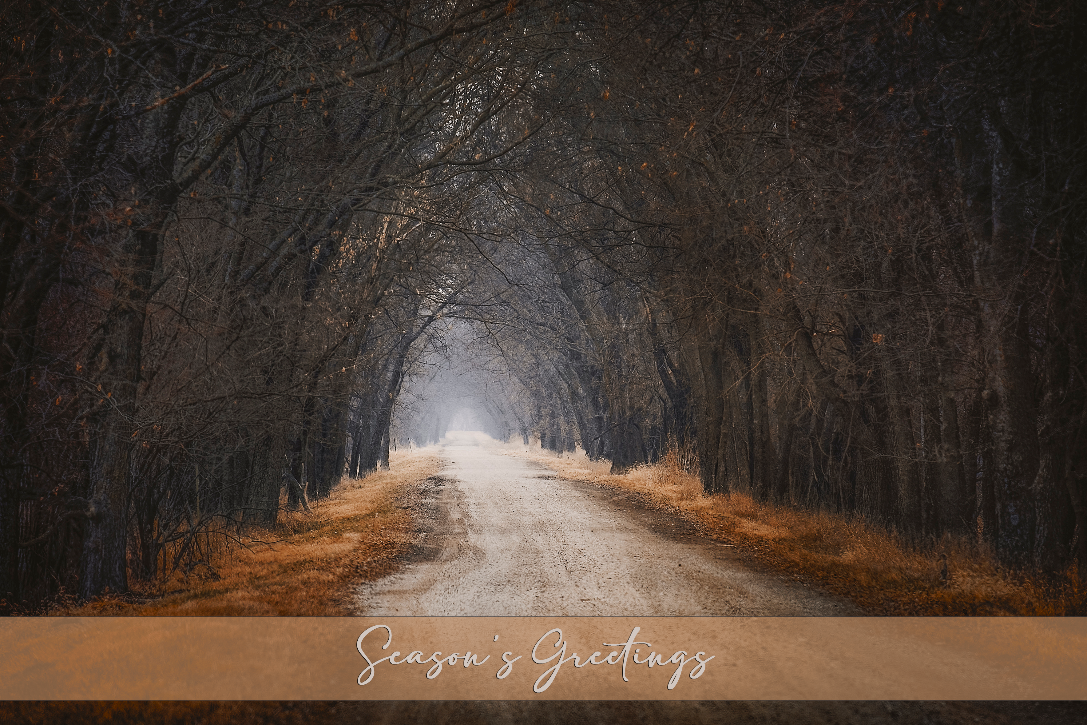 'The Road Home' Holiday Greeting Cards (Set of 25)