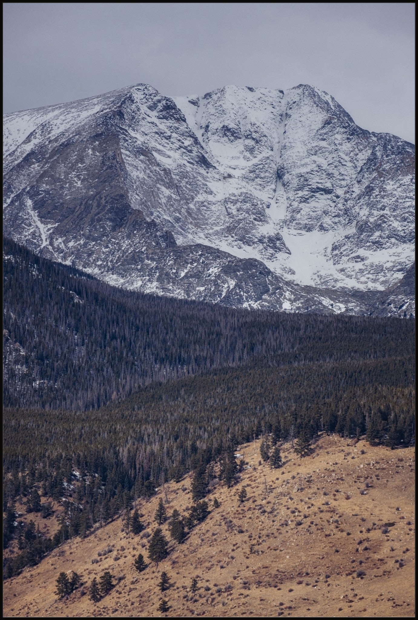 Soft Winter Tones