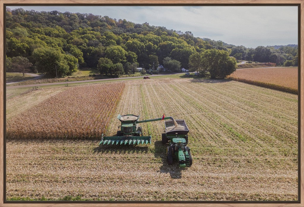 Aerial Corn Harvest V