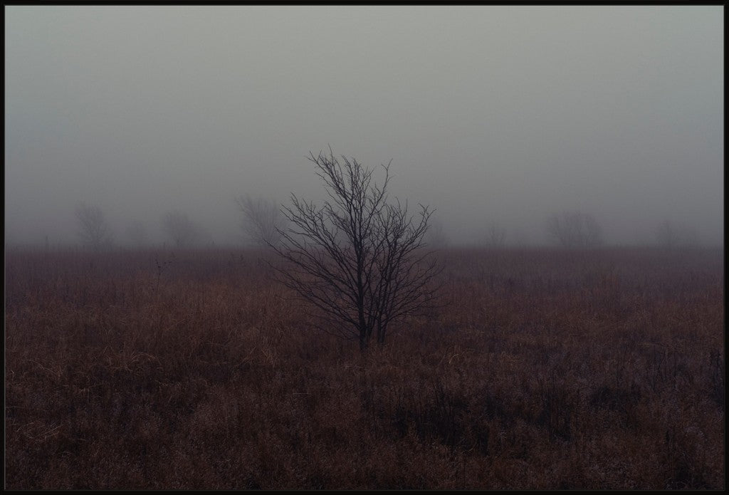 West Texas Winter Fog - 1