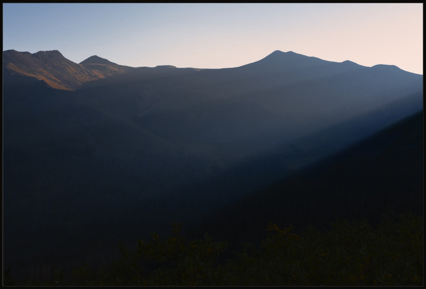 Soft Morning Light