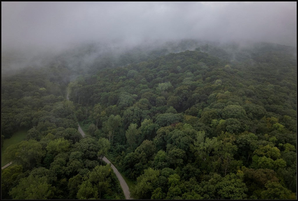 Fog Over the Bluffs Aerial