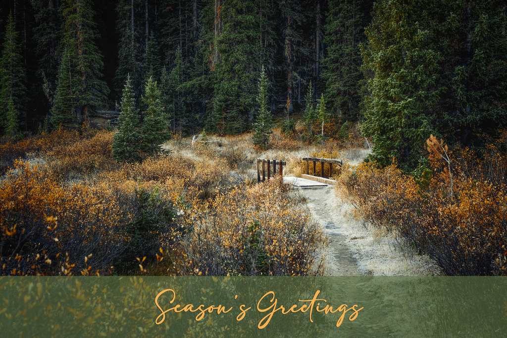 'September Frost' Holiday Greeting Cards (Set of 25)
