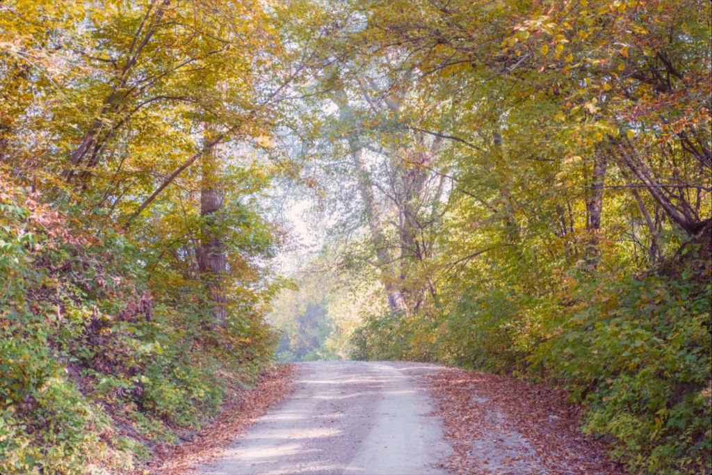 Midwest Fall Colors