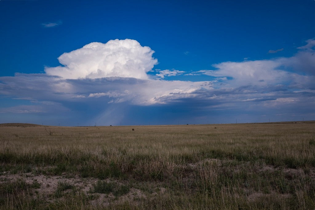 Rain on the South Plains (wide)