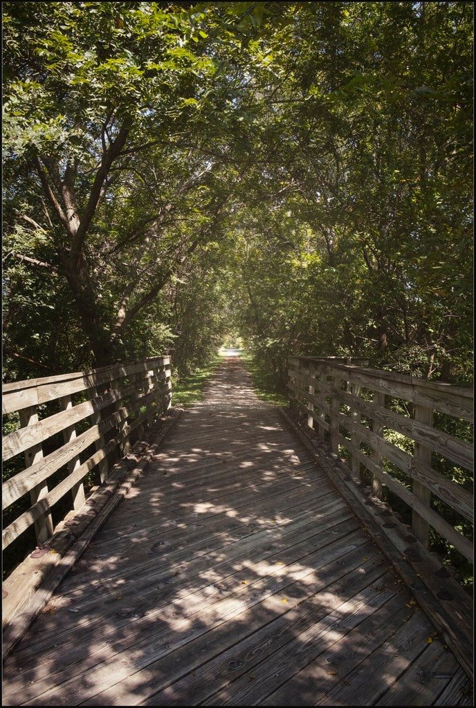 Rural Bike Path II