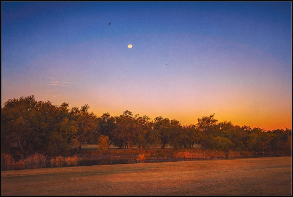 Mae Simmons Park