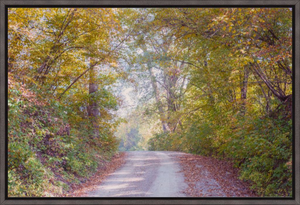 Midwest Fall Colors