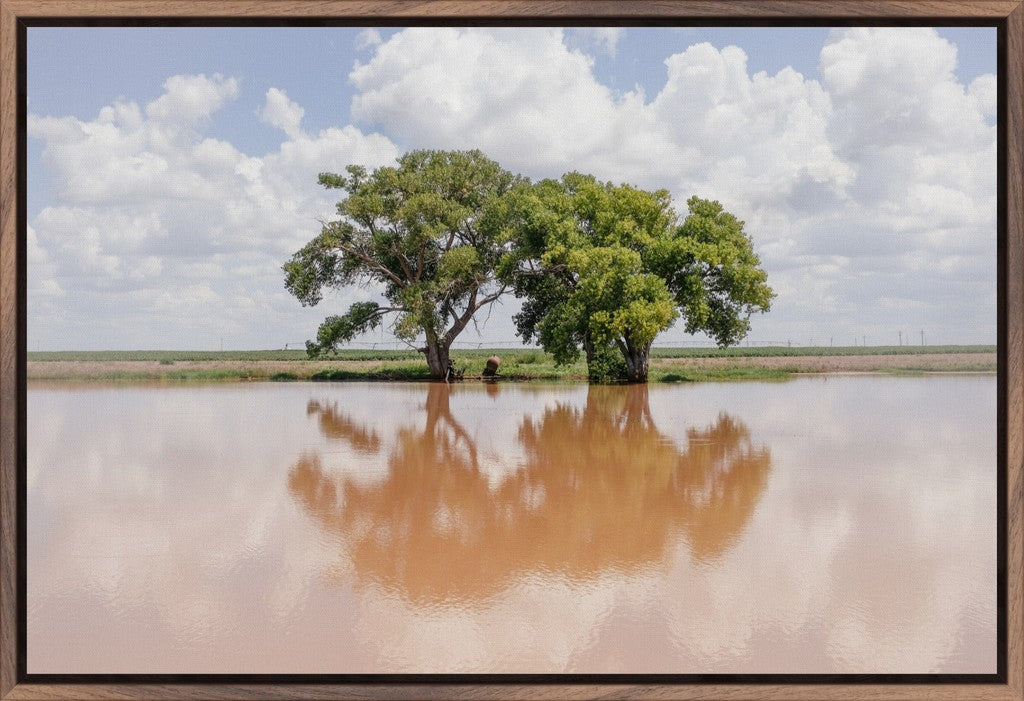Soft Reflections