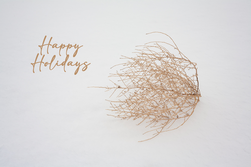 'Tumbleweed in Snow' Holiday Greeting Cards (Set of 25)