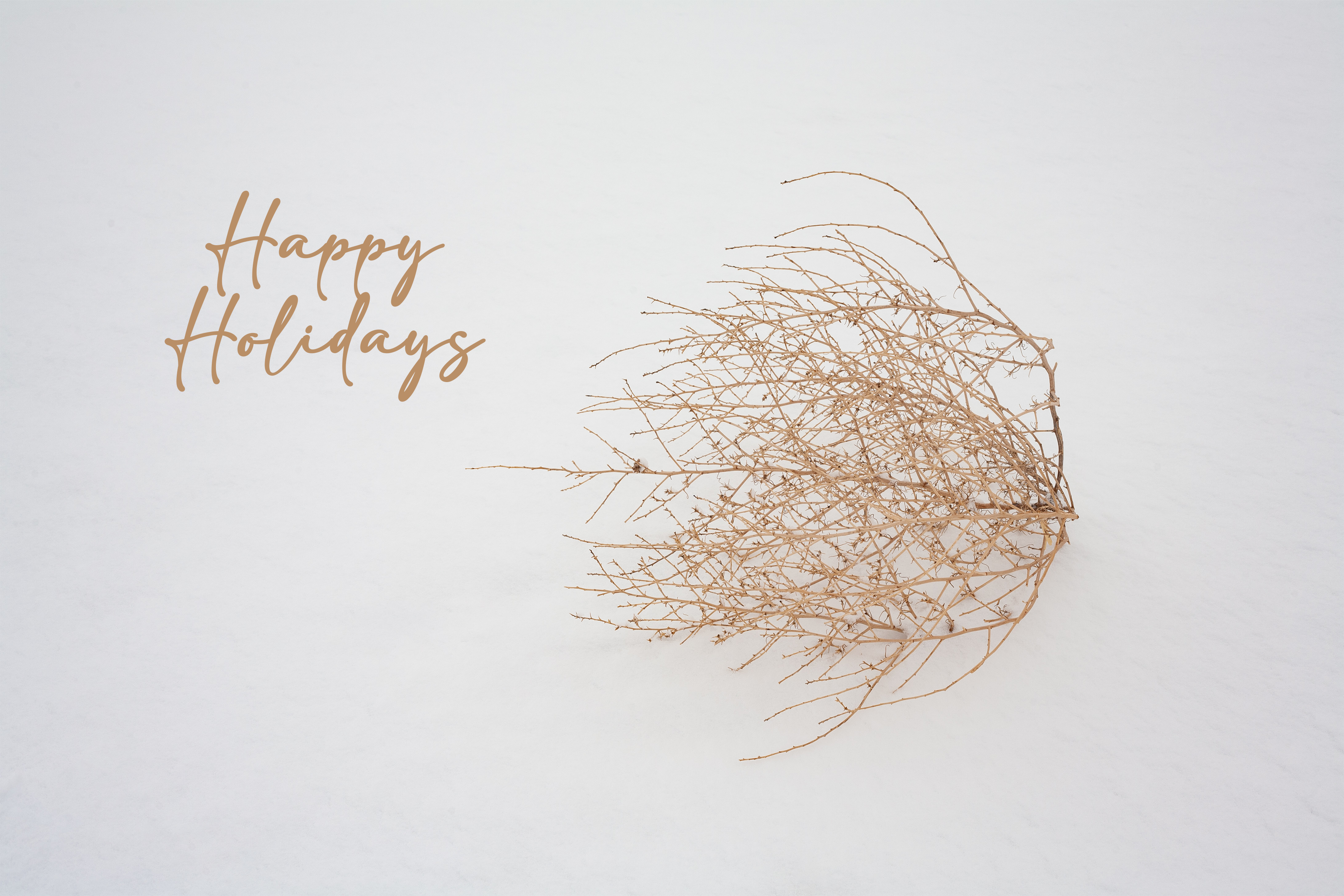 'Tumbleweed in Snow' Holiday Greeting Cards (Set of 25)