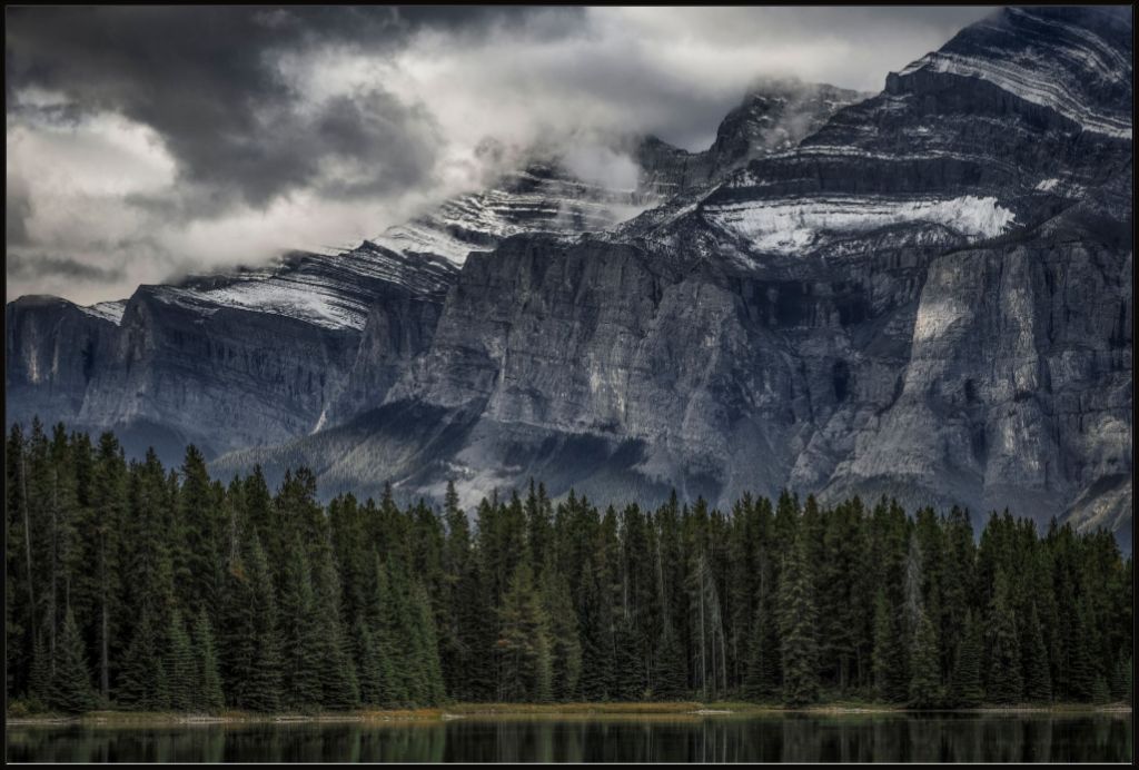 Green Forest and Mountain