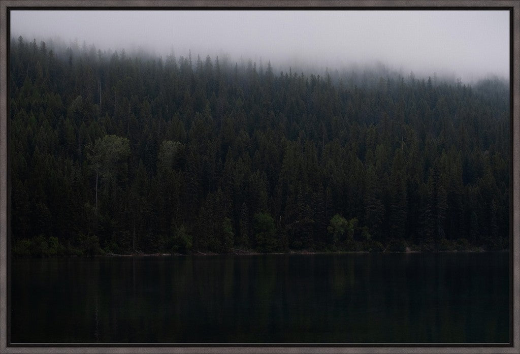 Montana Forest + Lake