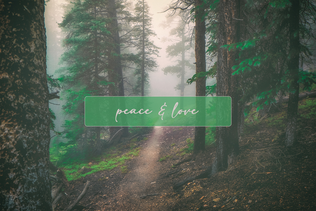 'Peace & Love' Holiday Greeting Cards (Set of 25)