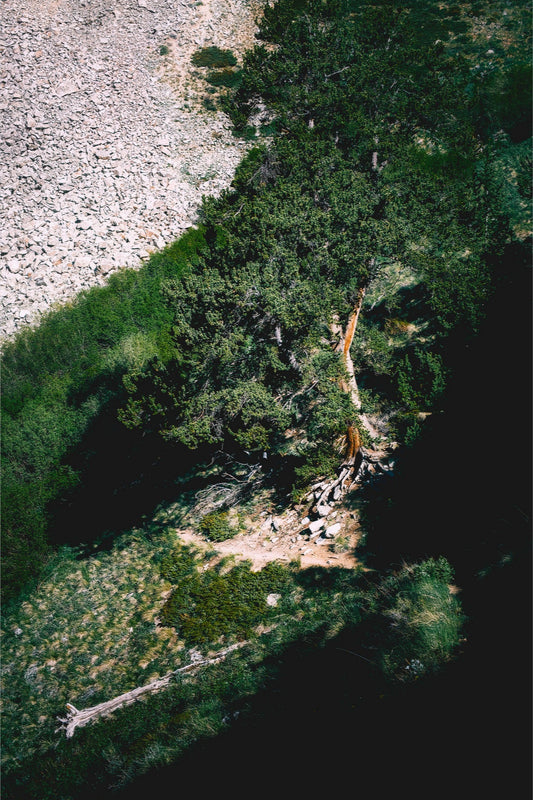 Just Around the Bend