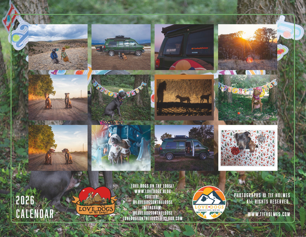 2026 Love Dogs Wall Calendar