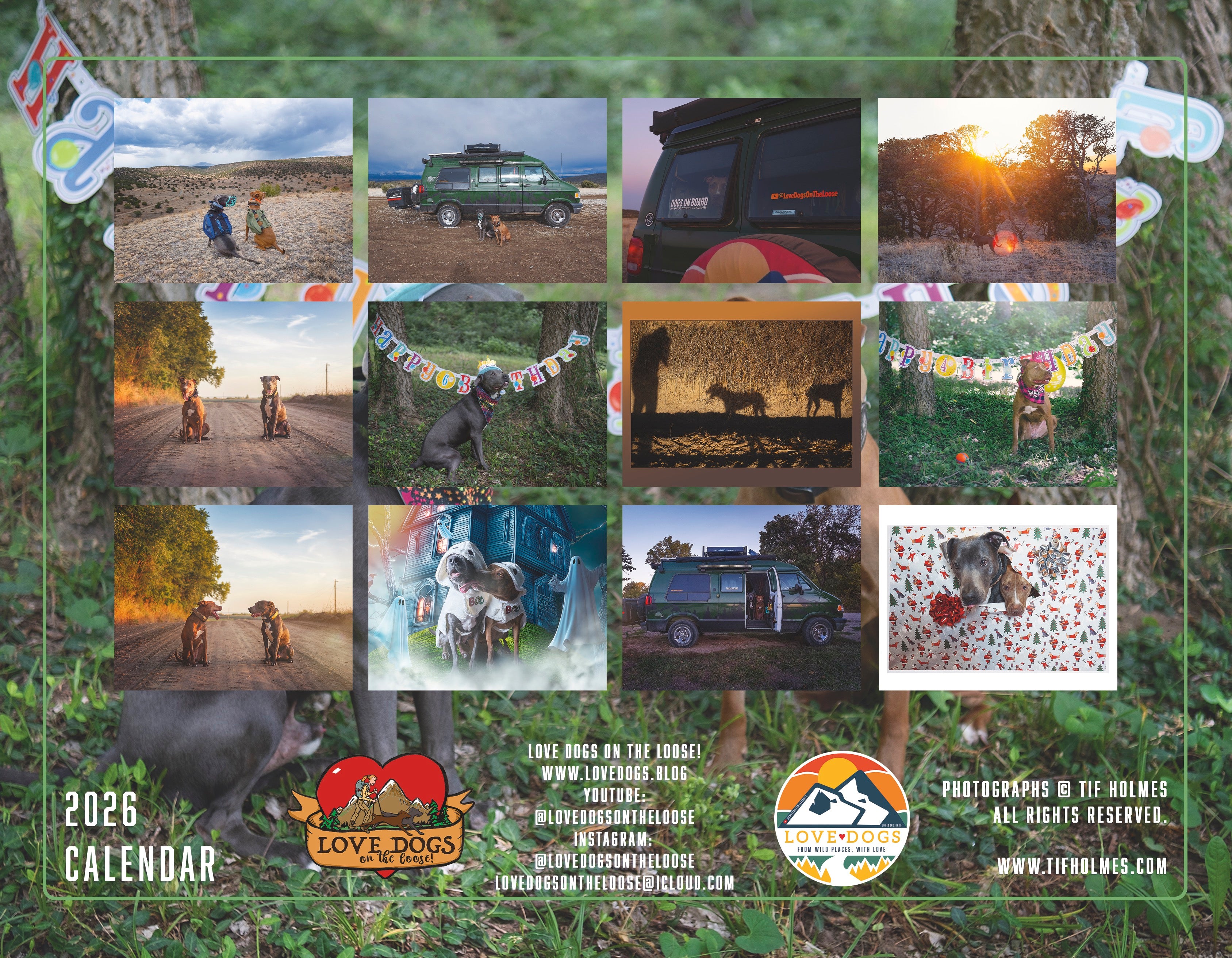 2026 Love Dogs Wall Calendar