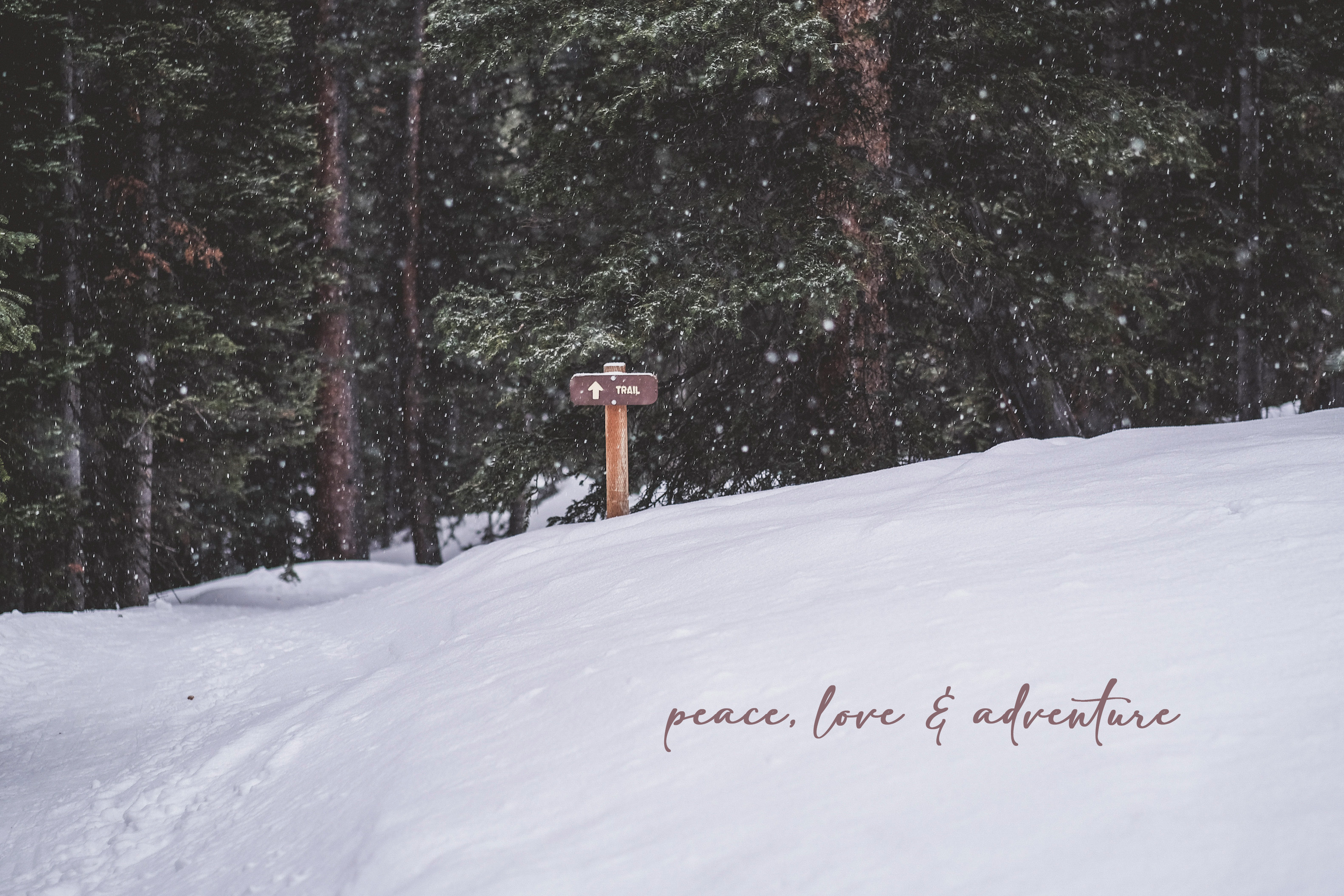 'Peace, Love & Adventure' Holiday Greeting Cards (Set of 25)