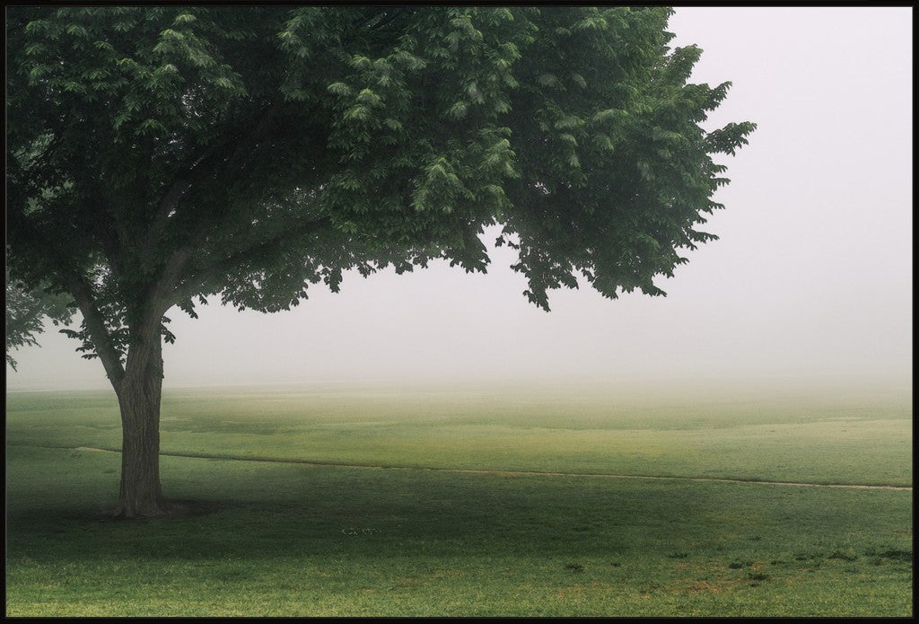 Urban Fog