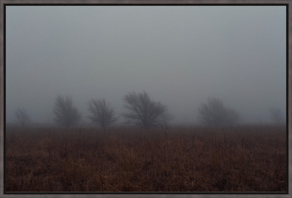 West Texas Winter Fog - 2