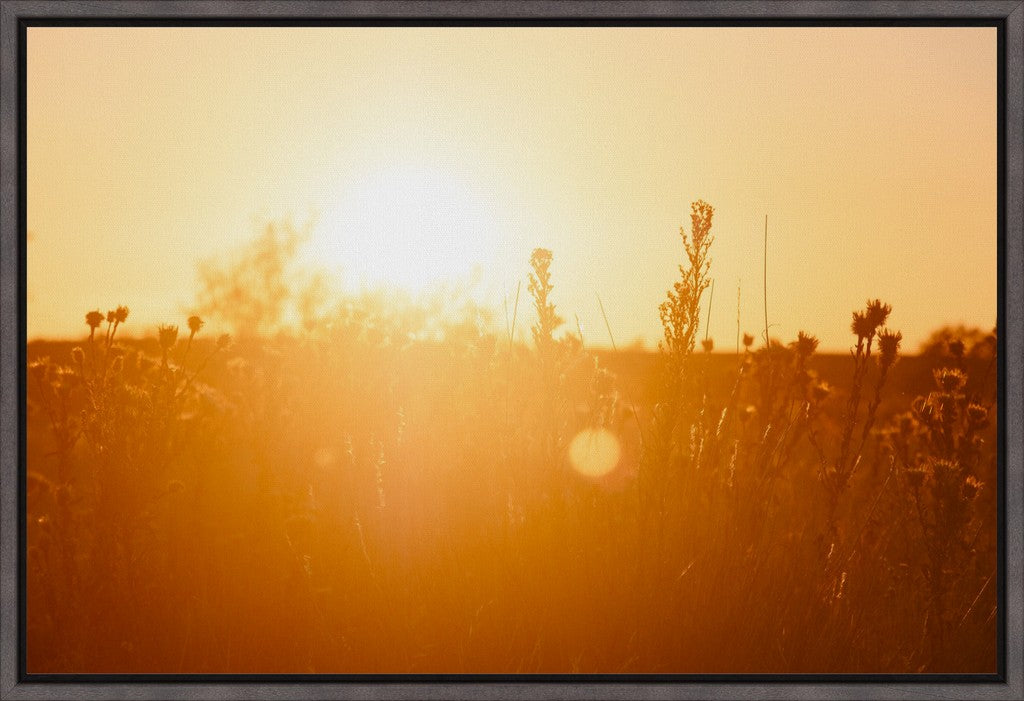 South Plains Sunset