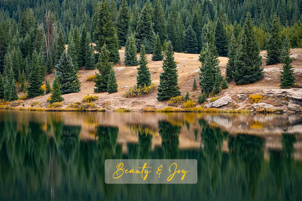 'Beauty & Joy' Holiday Greeting Cards (Set of 25)