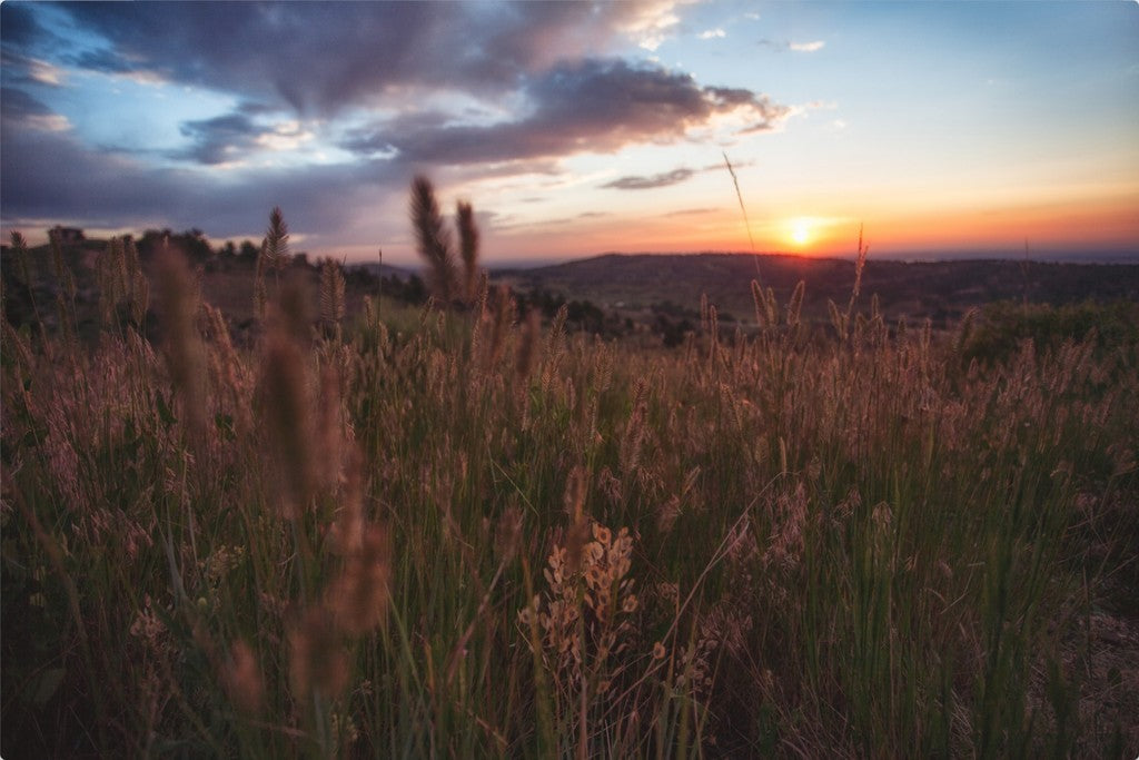 Berthoud Sunrise