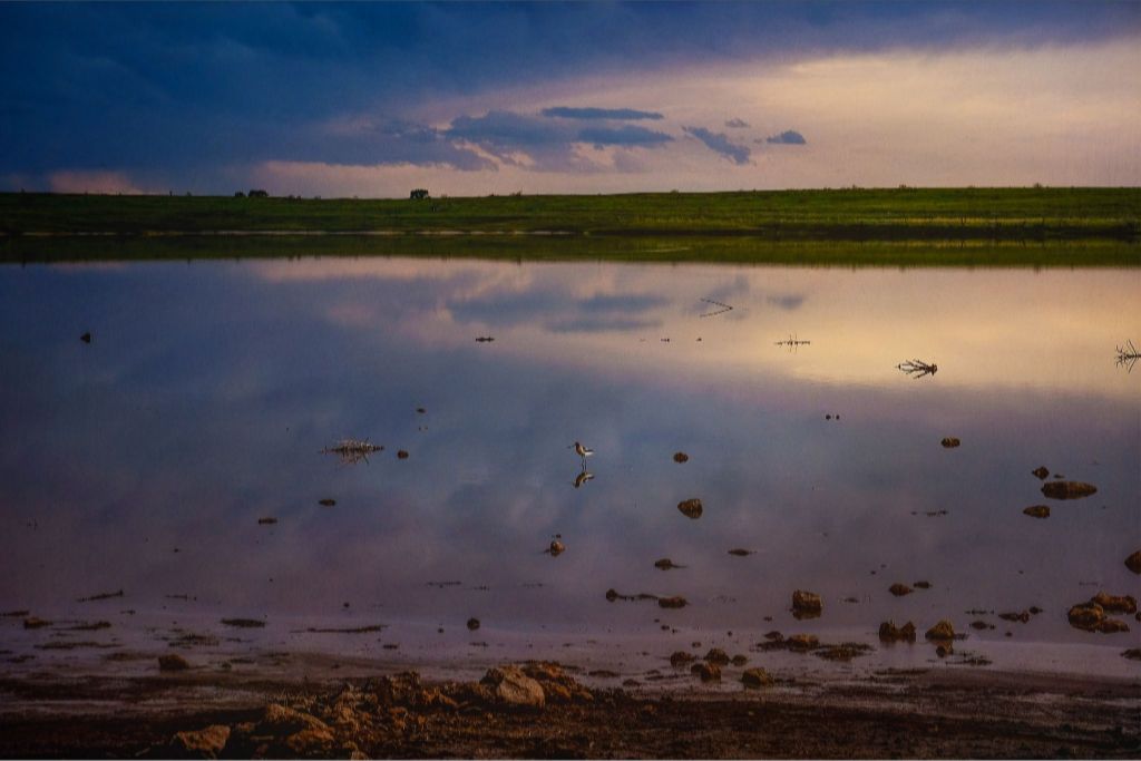 Muleshoe Reflections I