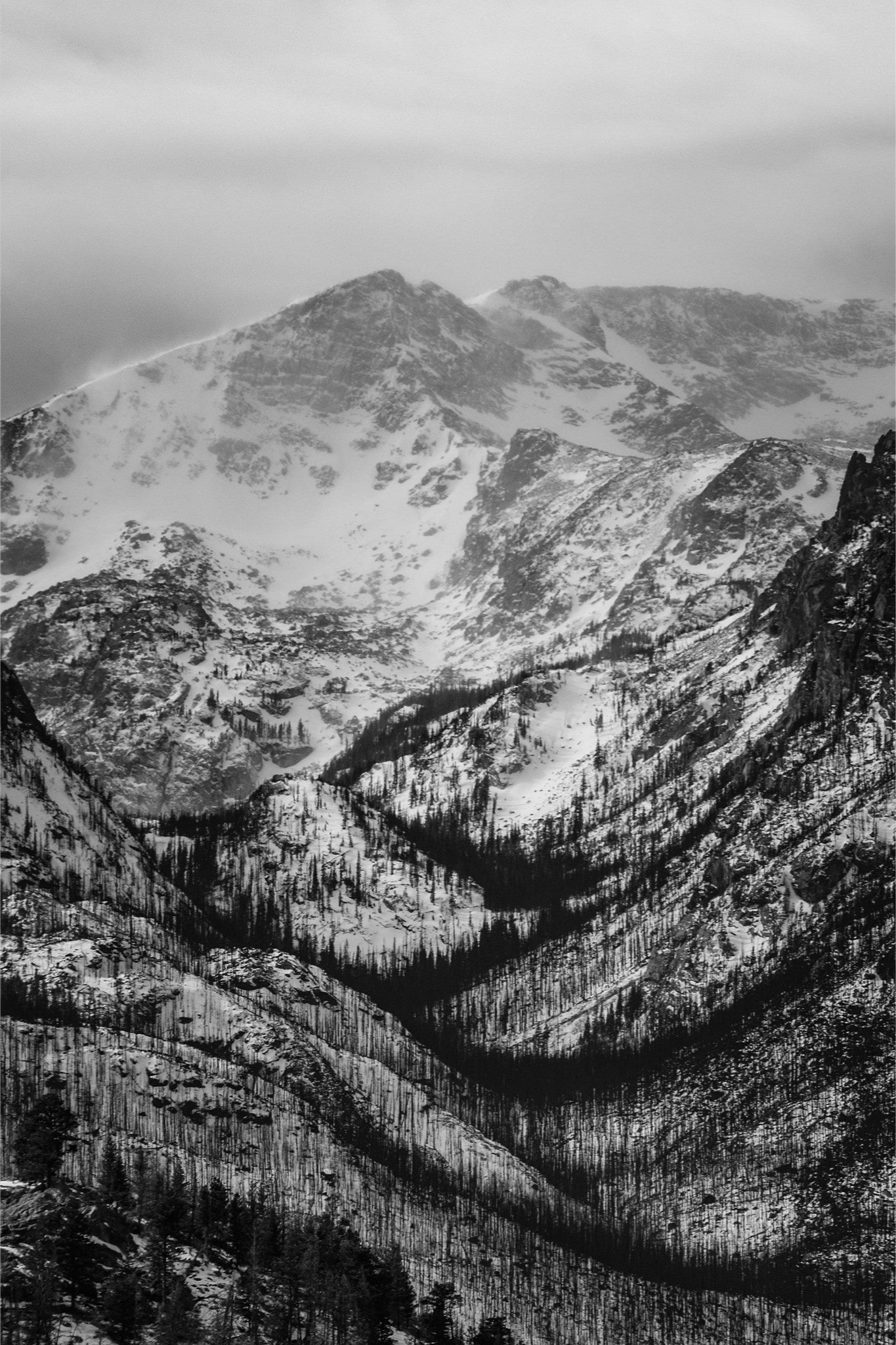 Winter Gulley