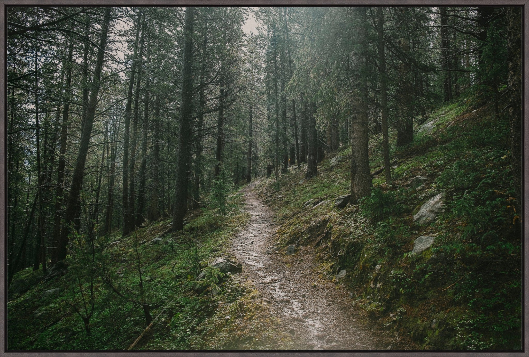 Deep Wilderness