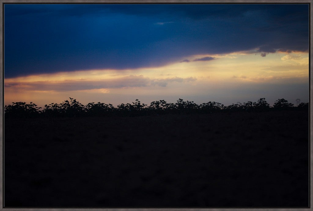 Sunset Cotton Silhouette