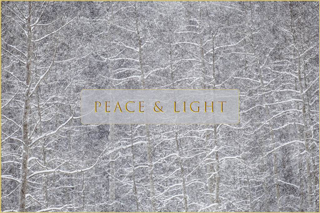 'Heavy Snow & Forest Abstract' Holiday Greeting Cards (Set of 25)