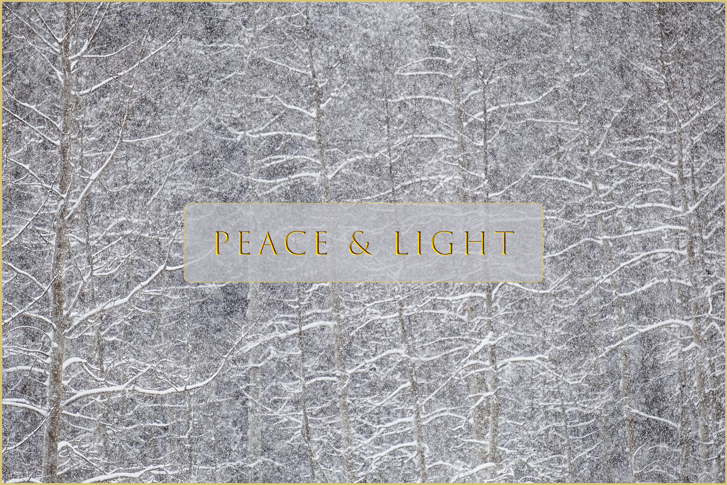 'Heavy Snow & Forest Abstract' Holiday Greeting Cards (Set of 25)