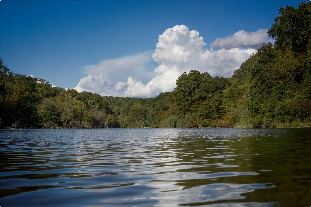 Early Fall Lake Scene