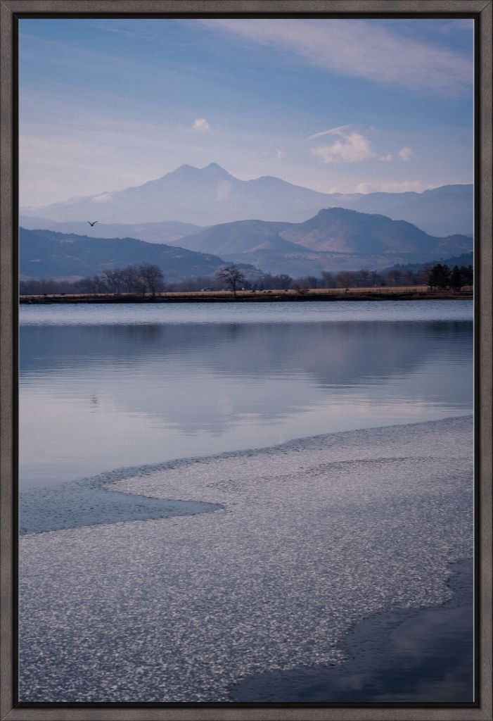 Longs Peak and Bird in Flight