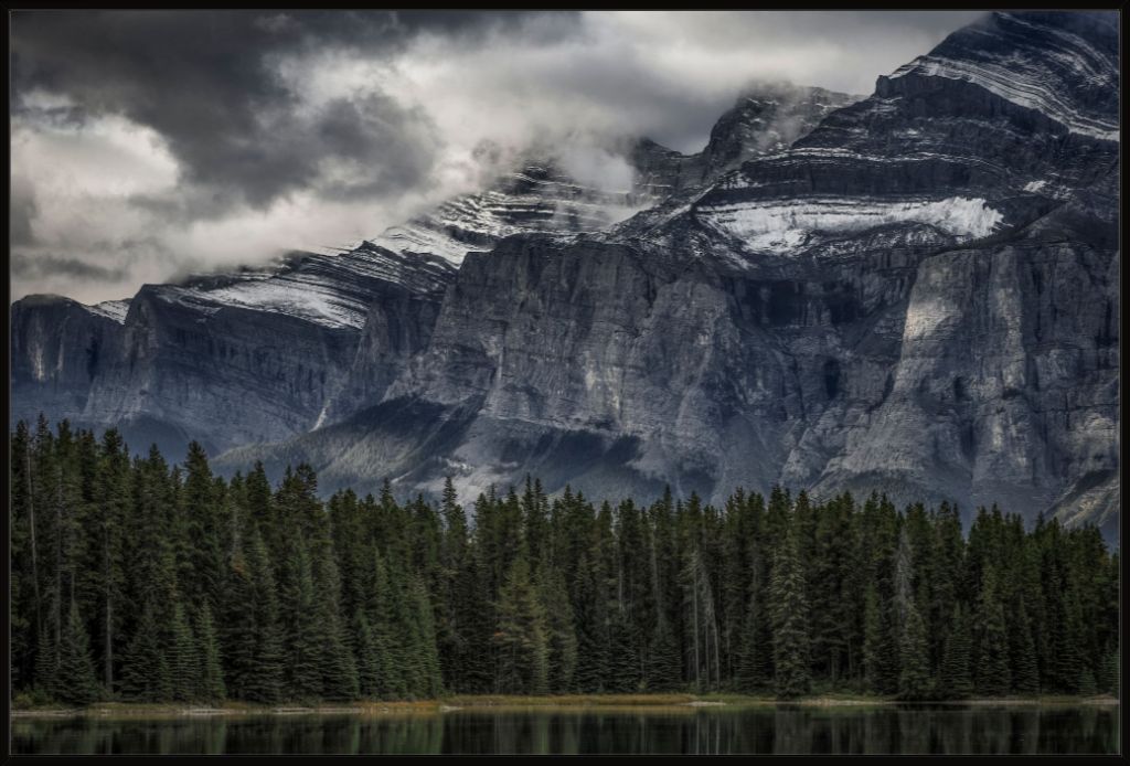 Green Forest and Mountain