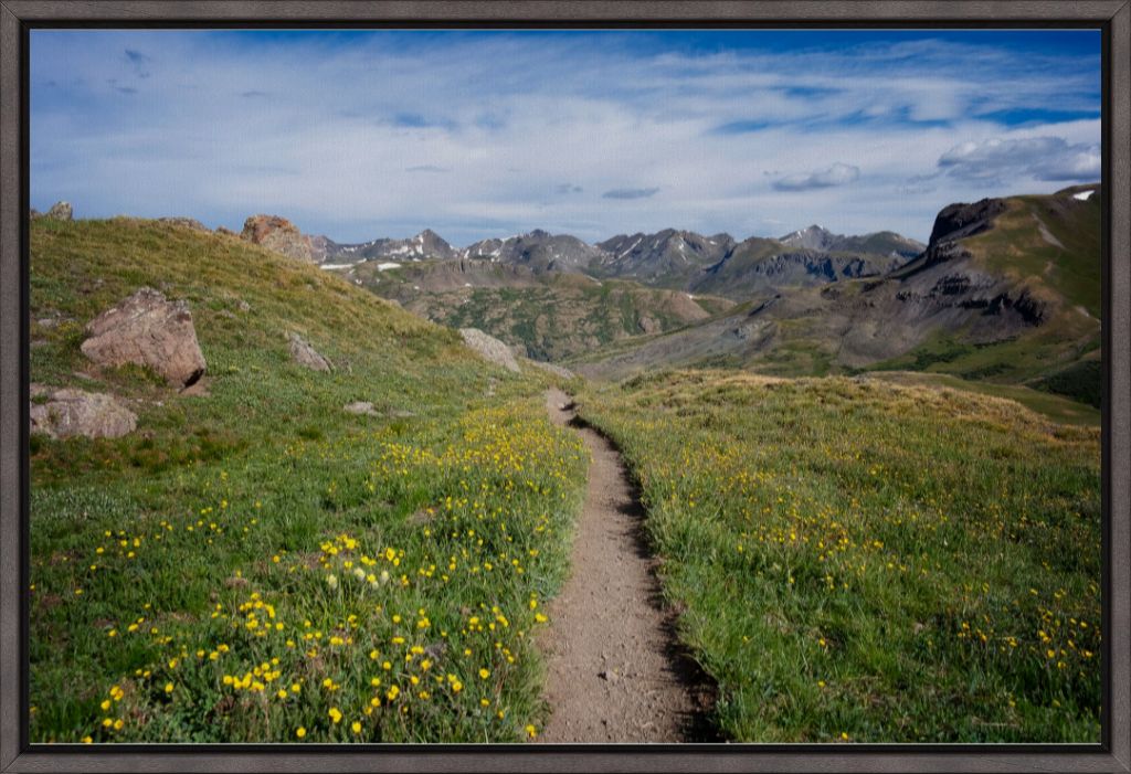 Yellow Wildflowers Way