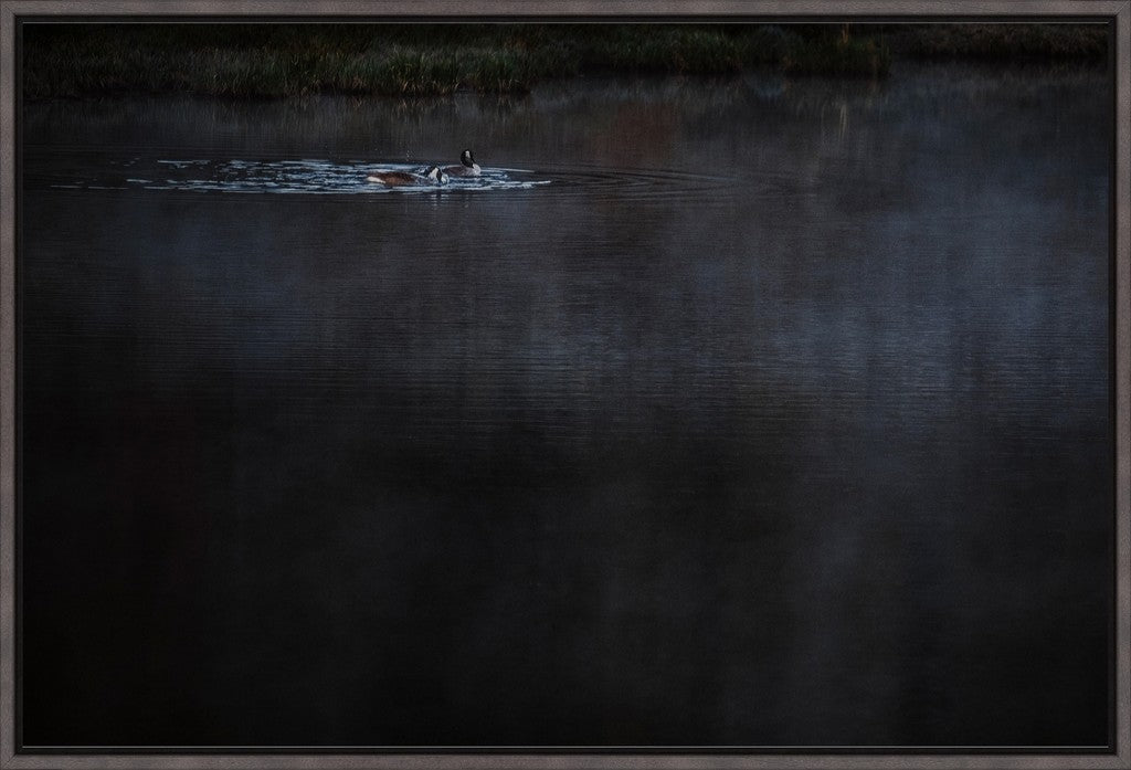 Geese on the Pond