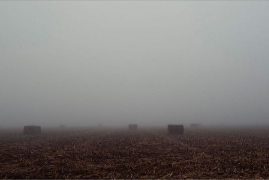 West Texas Winter Fog - 4