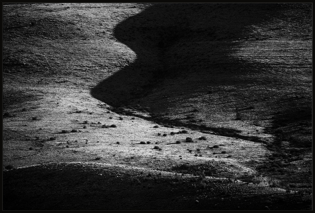 Bodies of Land IV