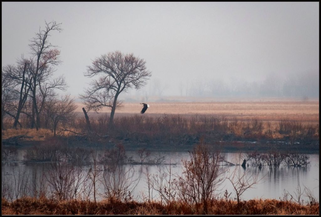 Nebraska Wetlands