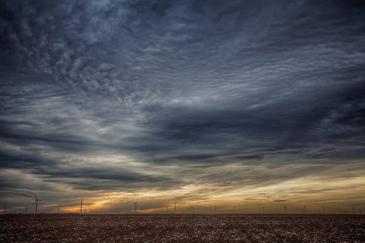 West Texas Cotton and Windmills