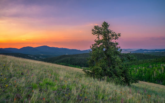 Tenmile Sunrise