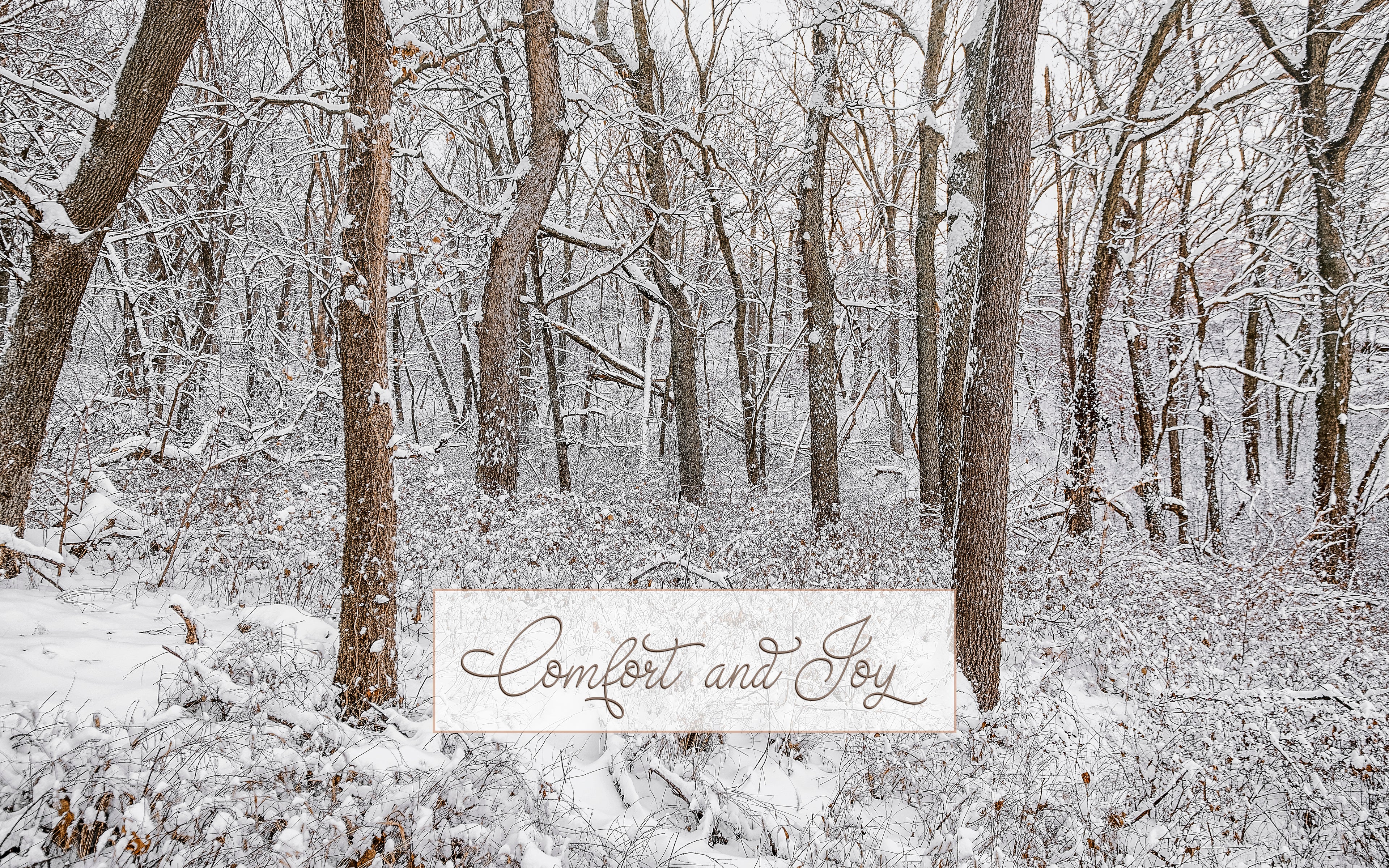 Winter in the Loess Hills Holiday Greeting Cards (Set of 25)