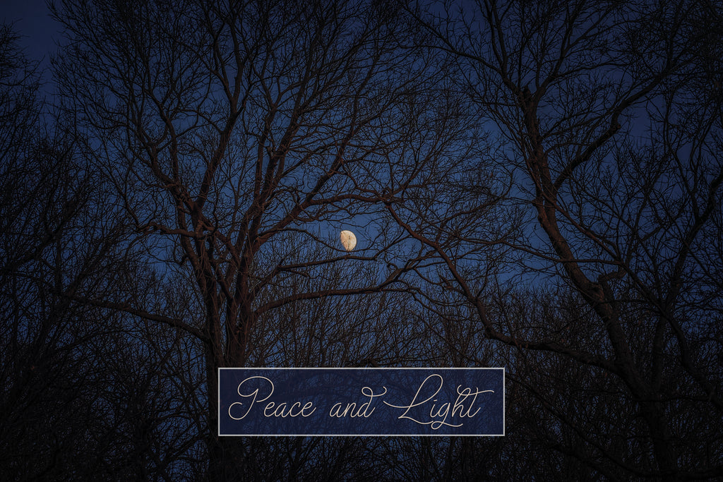 Winter Moon Holiday Greeting Cards (Set of 25)