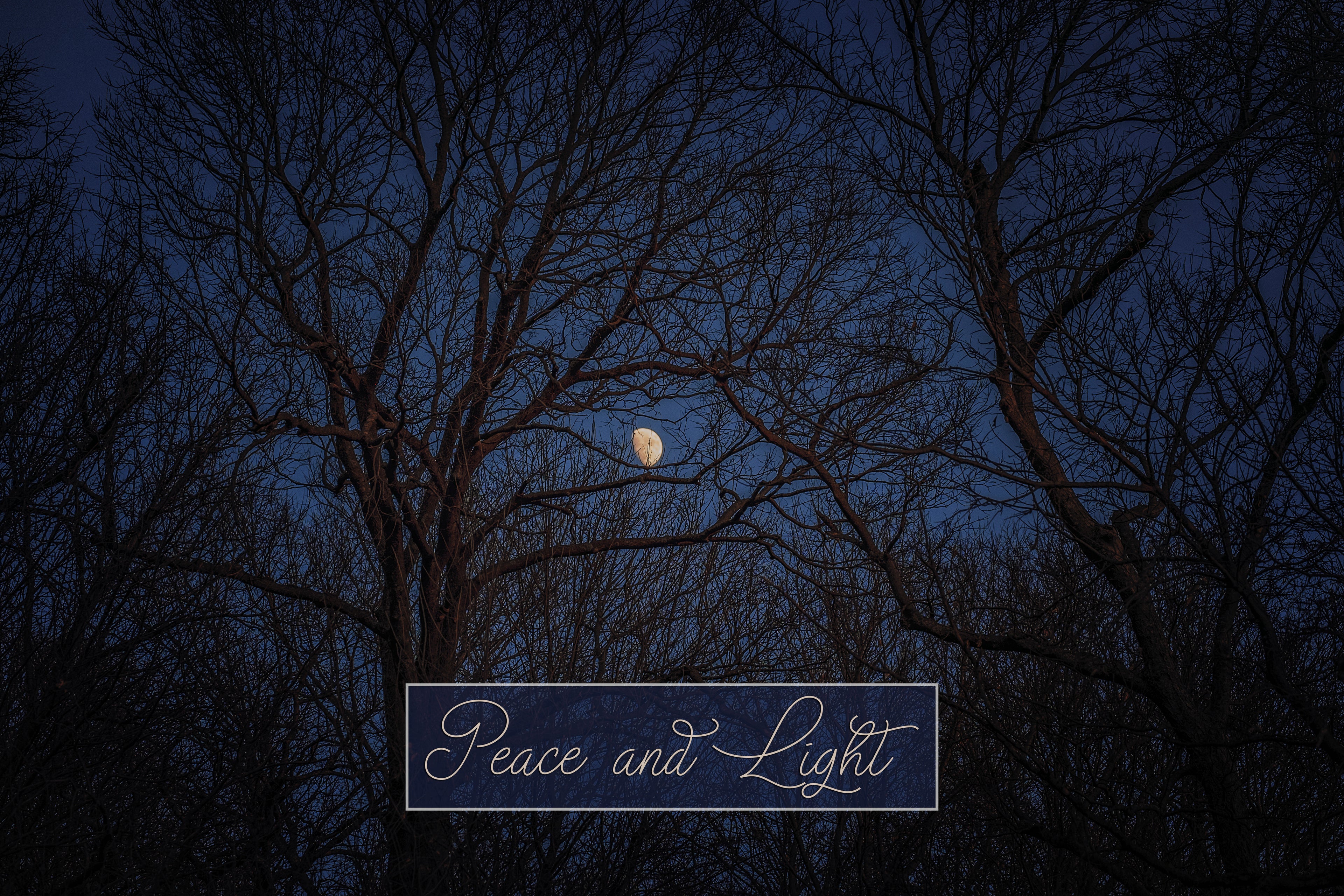 Winter Moon Holiday Greeting Cards (Set of 25)